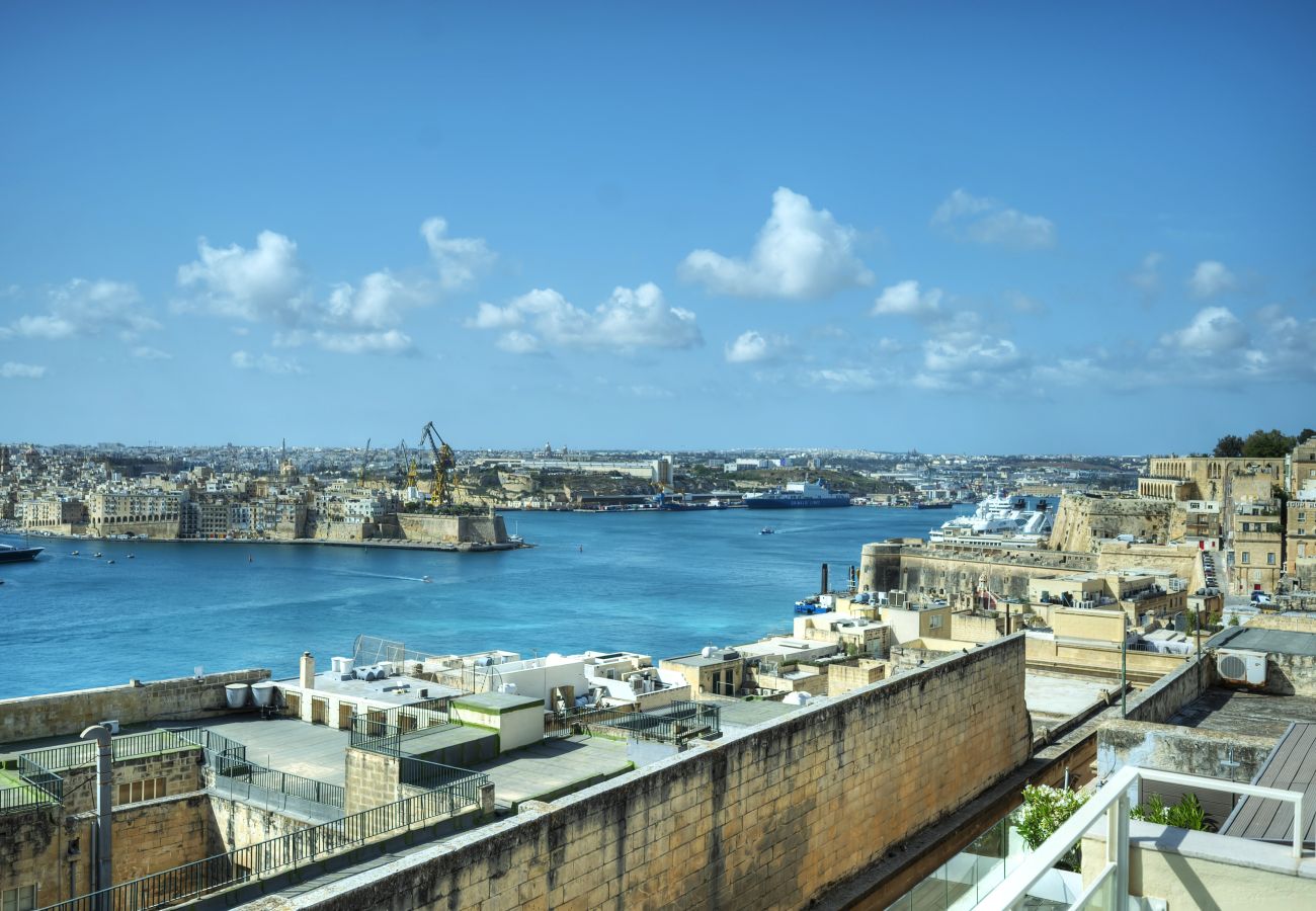 Casa adosada en Valletta - Magestic palazzo, jacuzzi on roof terrace GOVAL-3
