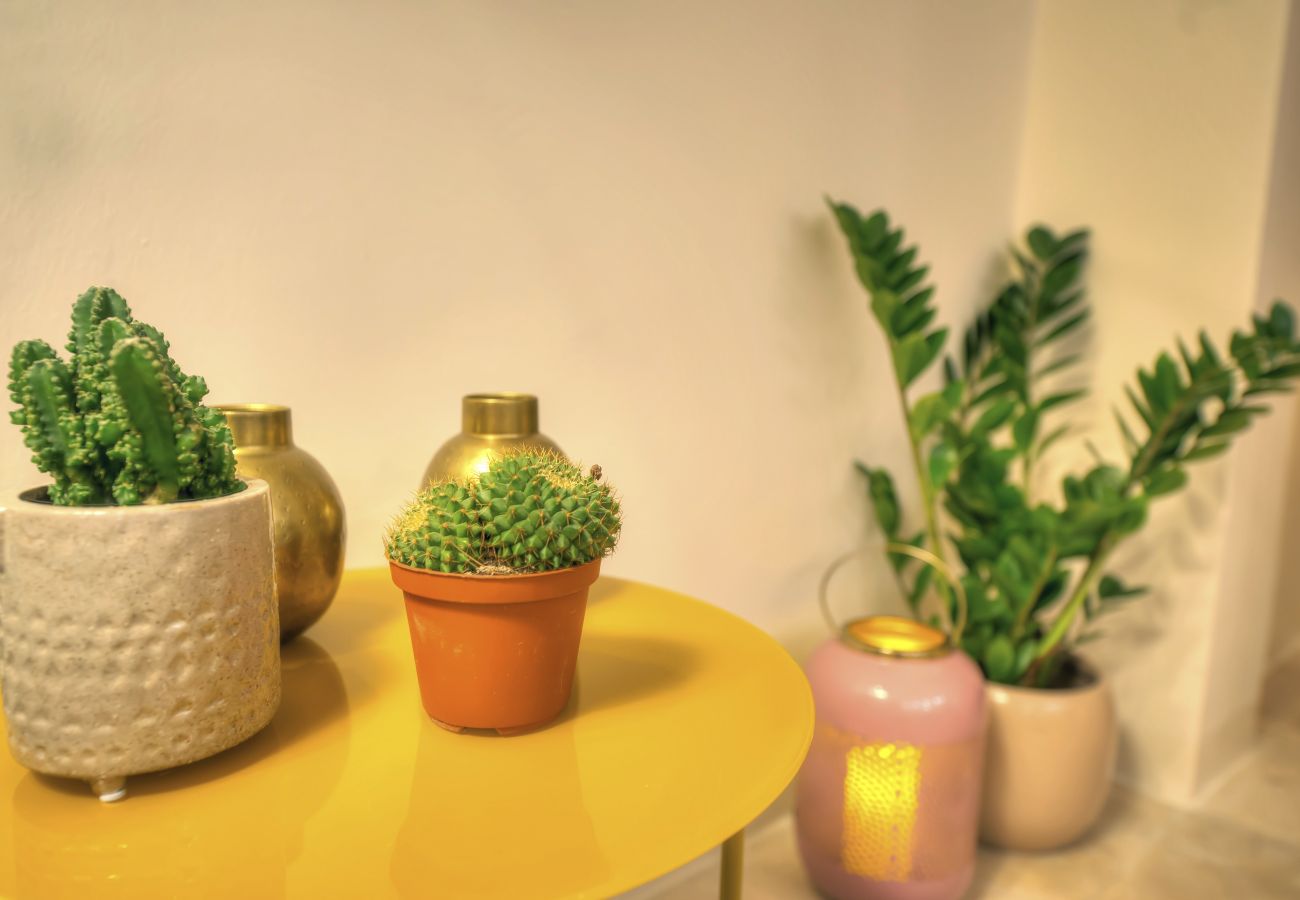 Apartment in Valletta - Stylish & traditional 1 bedroom apartment DDEM1-1