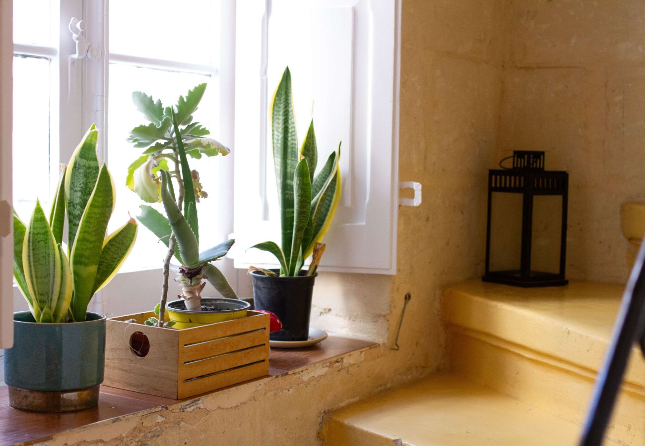 Terraced House in L-Isla - Traditional townhouse with roof terrace RTHE1-1